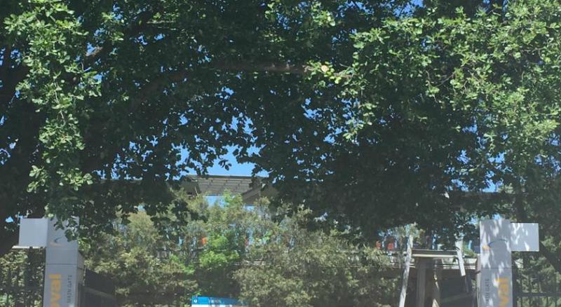 Abode Kingston Ξενοδοχείο Κανμπέρα Εξωτερικό φωτογραφία